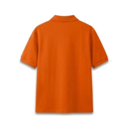 8 (1)